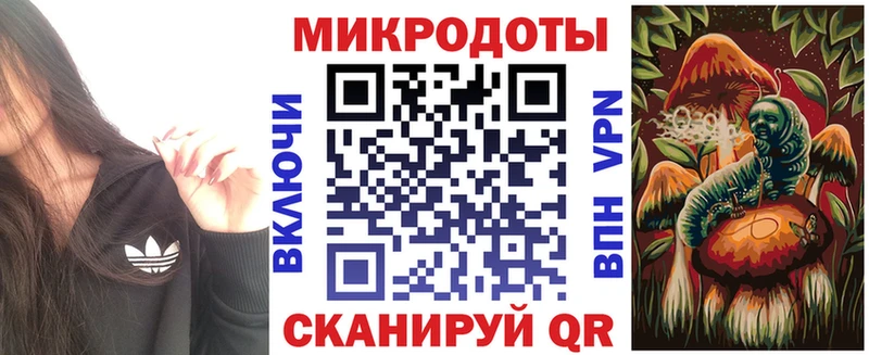 купить сайты Куса Псилоцибиновые грибы MAGIC MUSHROOMS